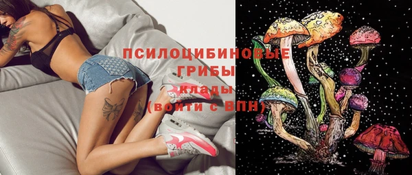 первитин Арсеньев
