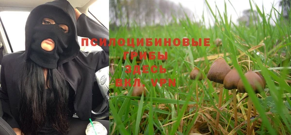 герыч Протвино